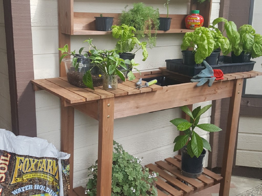 wood bench sitting outside with plants on it