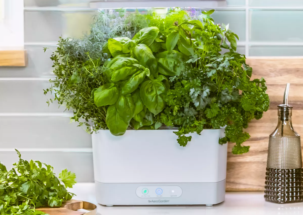 AeroGarden indoor garden on a counter