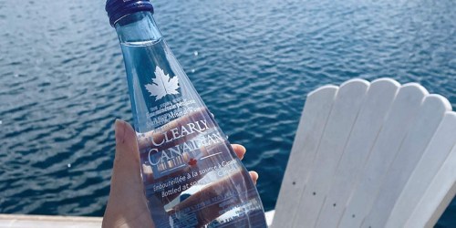 Clearly Canadian Sparkling Water 12-Pack Only $3.56 w/ Free Curbside Pickup at Cost Plus World Market