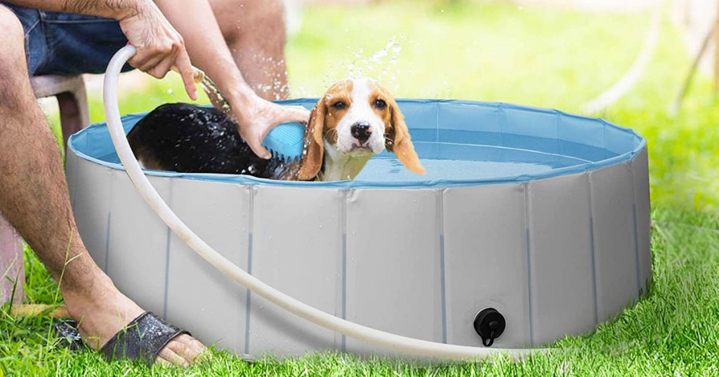 dog being washed in grey pool