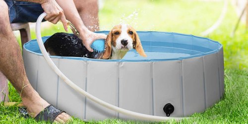 Collapsible Pools from $19.94 Shipped on Amazon | Great for Pets & Kids