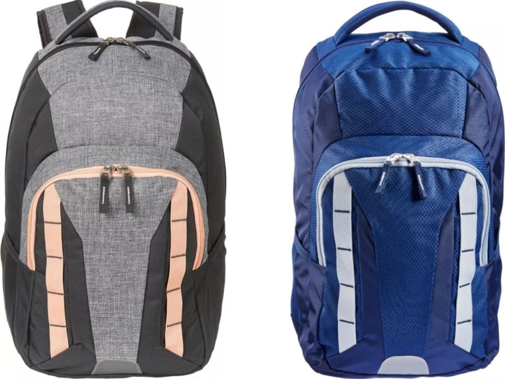 Two DSG Backpacks