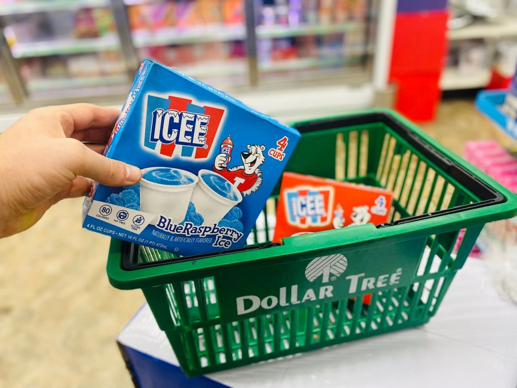 Dollar Tree Icees