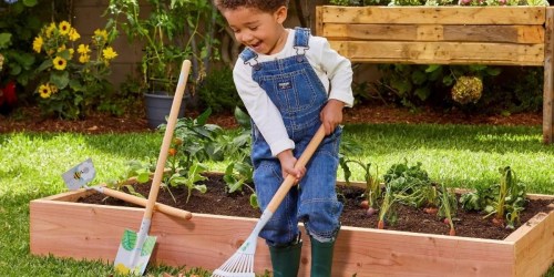 Little Tikes Growing Garden Tool Set Just $11 on Target.com (Regularly $25)