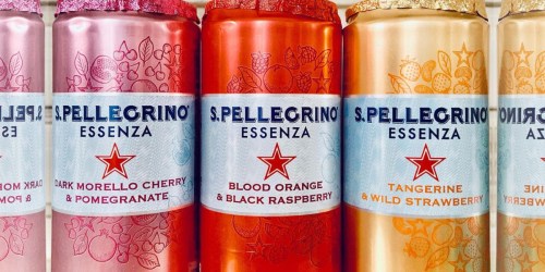 S.Pellegrino Essenza Cans 24-Count Variety Pack Only $10.98 on Amazon | Just 46¢ Each