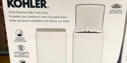 2 Kohler Stainless Steel Trash Cans Only $23.99 Shipped on Costco.com | Just $12 Each