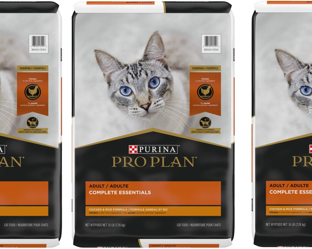 purina cat food