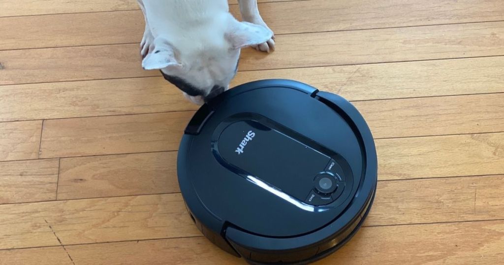 dog sniffing shark robot vacuum