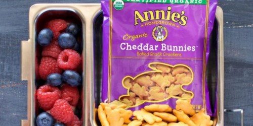 Annie’s Organic Cheddar Bunnies Snack Crackers 12-Pack Only $4.93 Shipped on Amazon