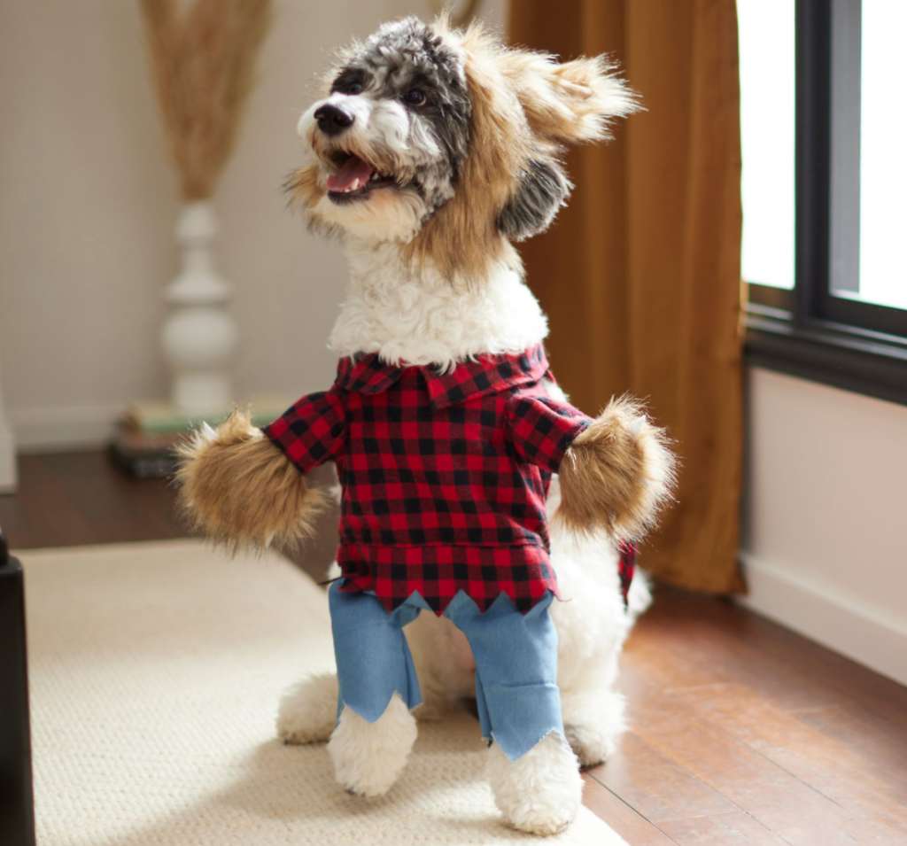 dog in a werewolf costume