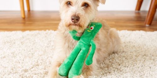 Up to 60% Off Multipet Dog Toys on Amazon | Prices from $2.53!