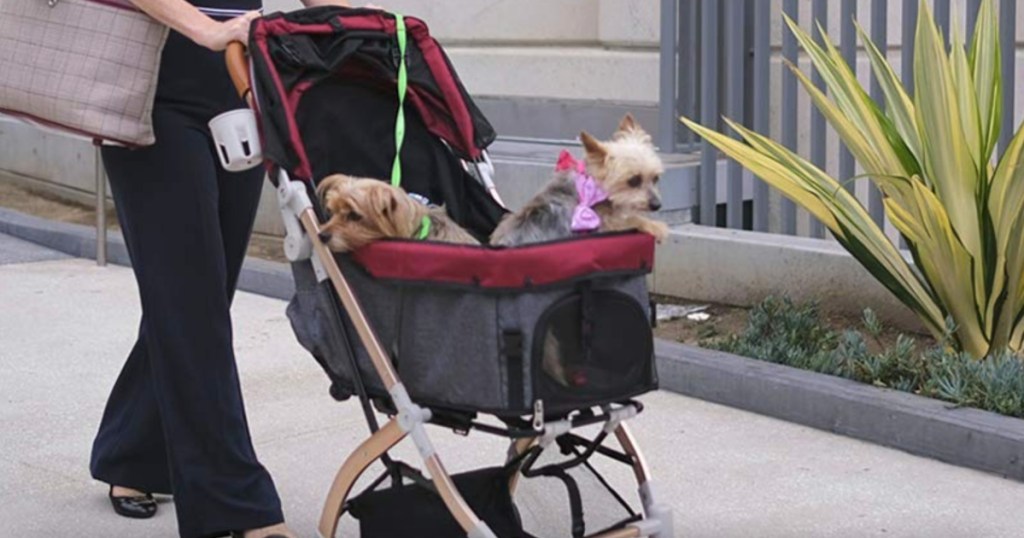 2 dogs in HPZ pet stroller