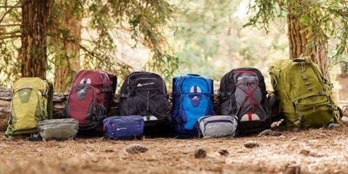 Up to 50% Off Ozark Trail Bags & Backpacks on Walmart.com | Prices from $7.97