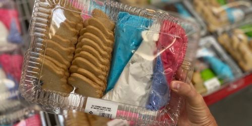 Member’s Mark Unicorn or Dinosaur Sugar Cookie Decorating Kits Only $5.98 at Sam’s Club