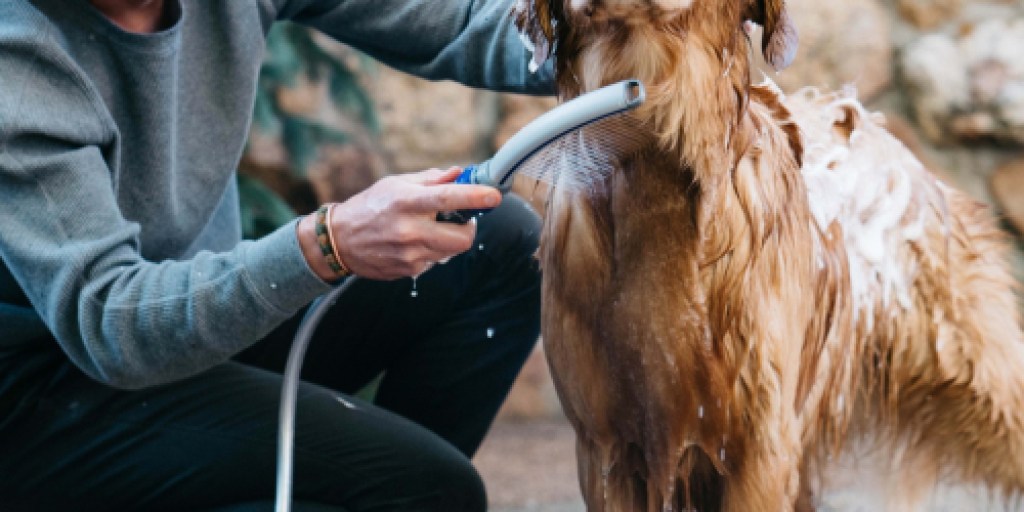 Waterpik Dog Shower Attachment Only $18.29 on Chewy.com (Regularly $50) | Use Indoors & Outdoors