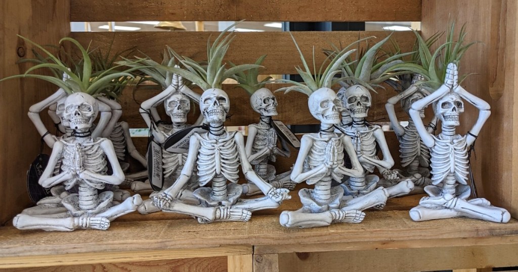 Yoga Skeleton Namaste Air Plants