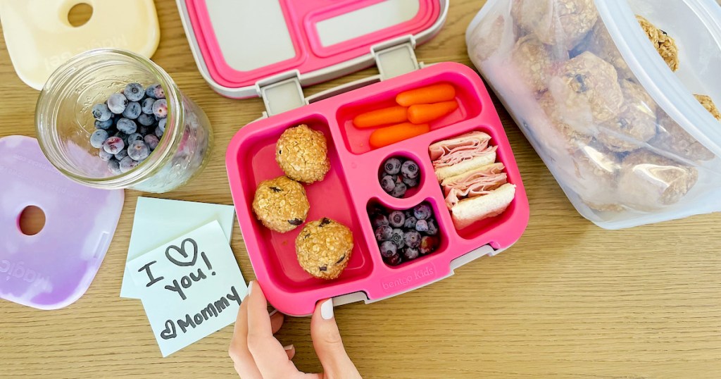 hand holding the corner of a pink and gray bento style best lunch boxes for kids