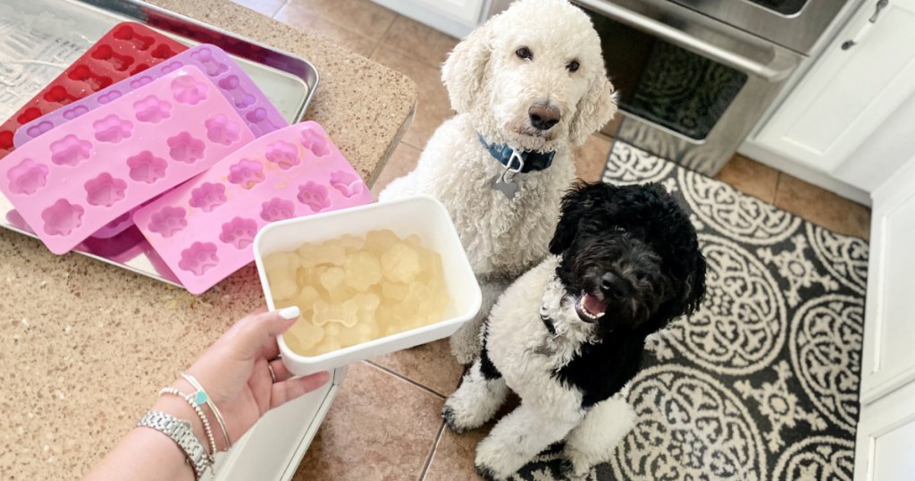 diy frozen dog treats
