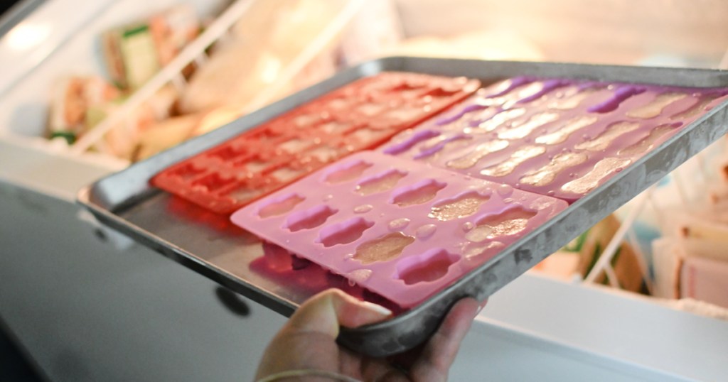 freezer with diy dog treats