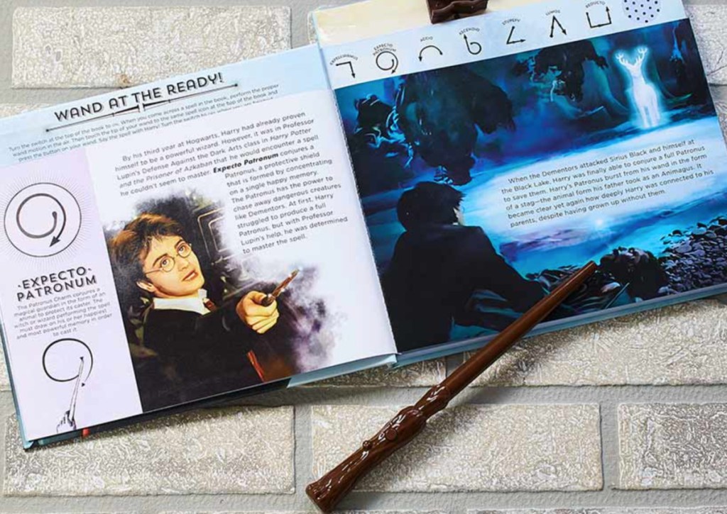 harry potter book + wand