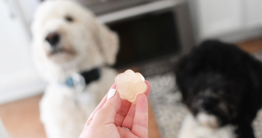 holding a chicken broth frozen treat