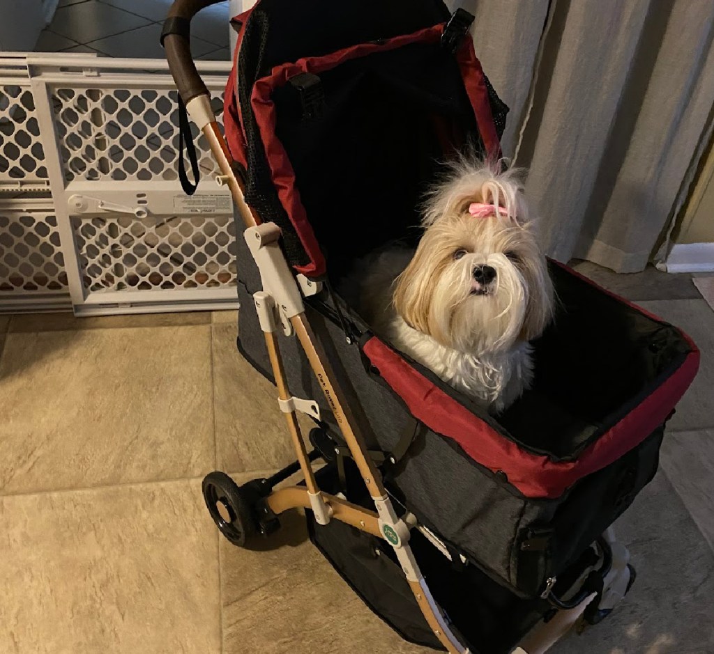 hpz pet in stroller