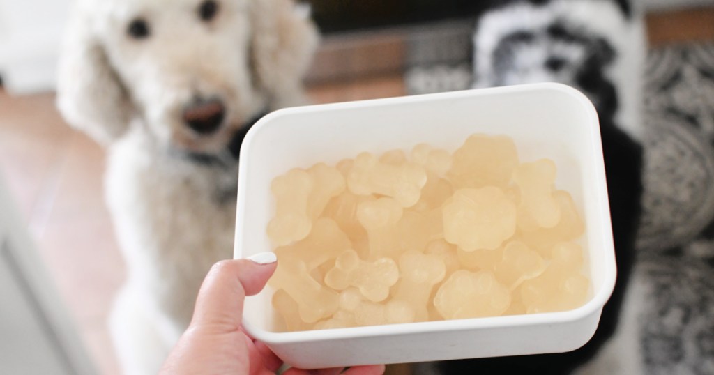 one ingredient frozen dog treats in a container