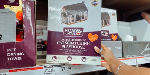 Heart to Tail Cat Scratching Playhouses Only $7.99 at ALDI