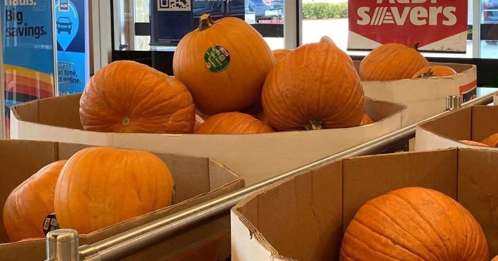 large pumpkins in aldi store