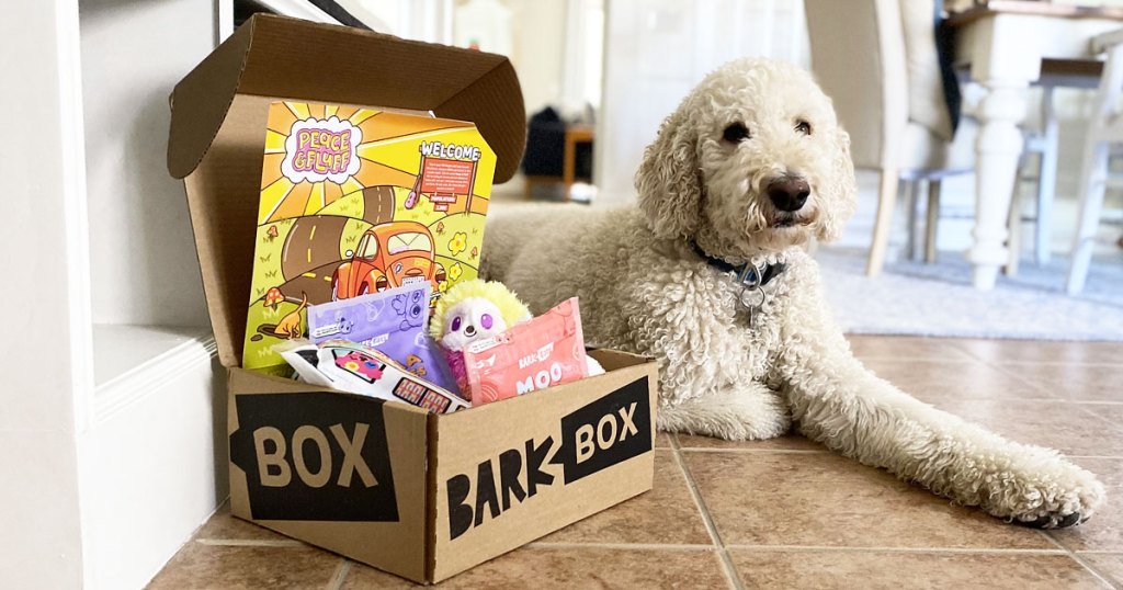 dog laying on floor next to barkbox