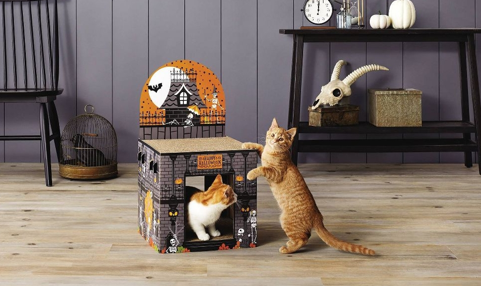 cats playing on a cat scratcher