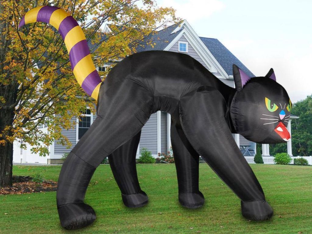 Haunted Hills Farm 20ft Cat