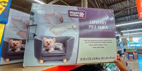 Your Pets Can Relax in Style w/ This Luxury Pet Sofa | Just $49.99 at ALDI