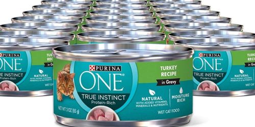 Purina ONE True Instinct Cat Food Cans 24-Count Only $10 Shipped on Amazon (Regularly $23)