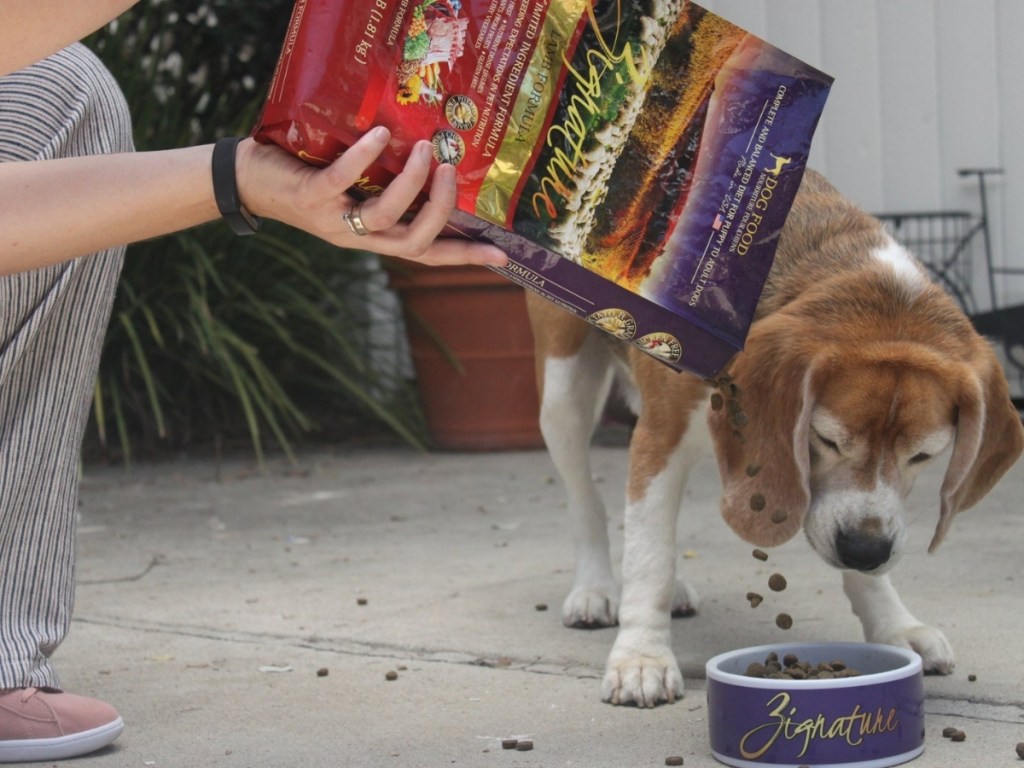 dog eating zignature dog food from bowl