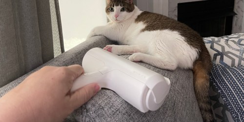ChomChom Pet Hair Remover Roller Only $19.99 on Amazon | Over 100,000 5-Star Reviews