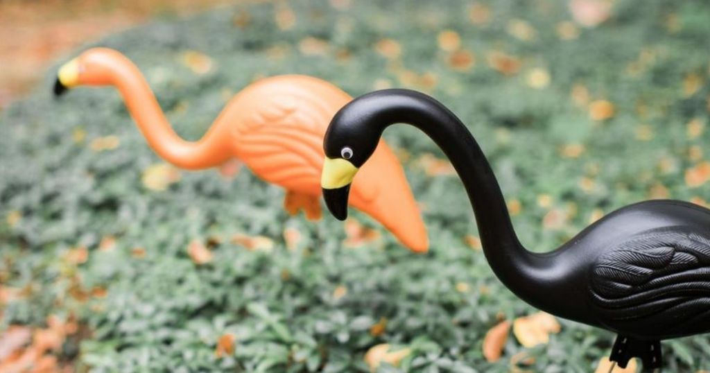 black and orange yard flamingos