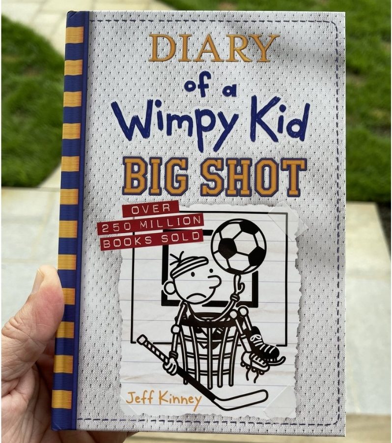 holding diary of a wimpy kid book