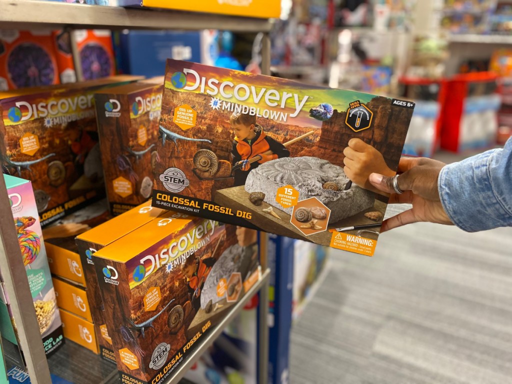 kids dinosaur excavation kit in store