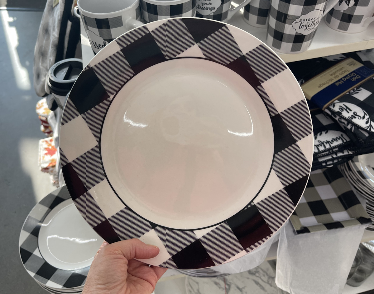 Dollar Tree dinner plates