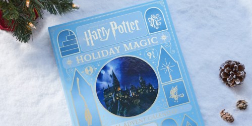 Harry Potter Advent Calendar Only $19 on Amazon or Walmart.com (Regularly $30)