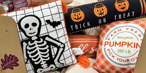 Sam’s Club Harvest & Halloween Holiday Pillows Only $17.98