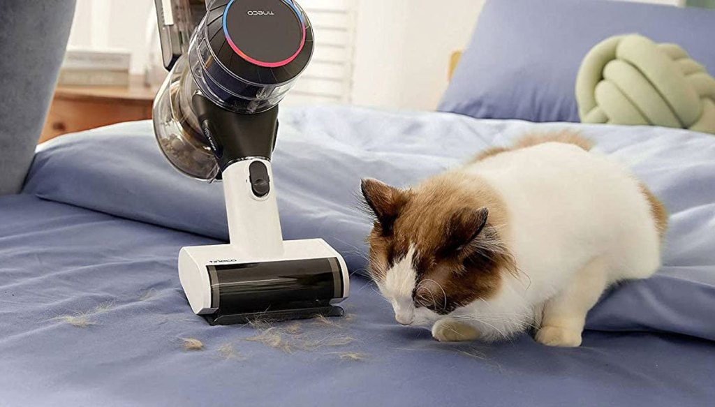 using handheld vac near cat