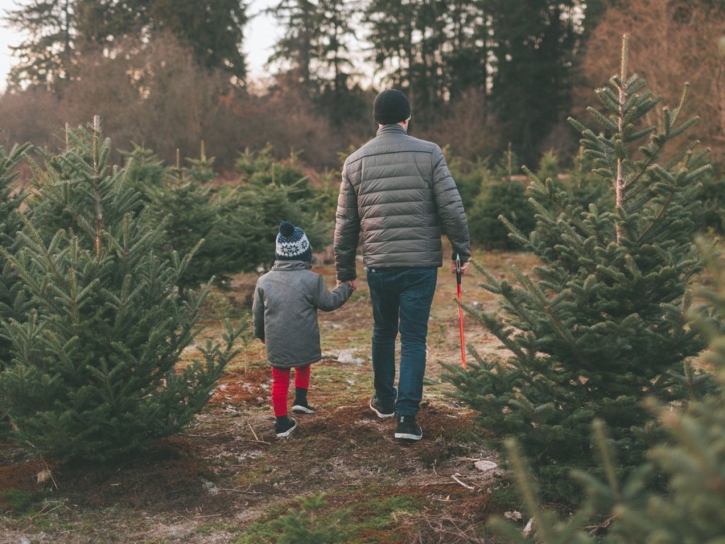 man and child walking through evergreen trees