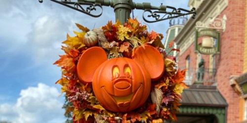 8 Best Tips to Enjoy a Disney Halloween Vacation