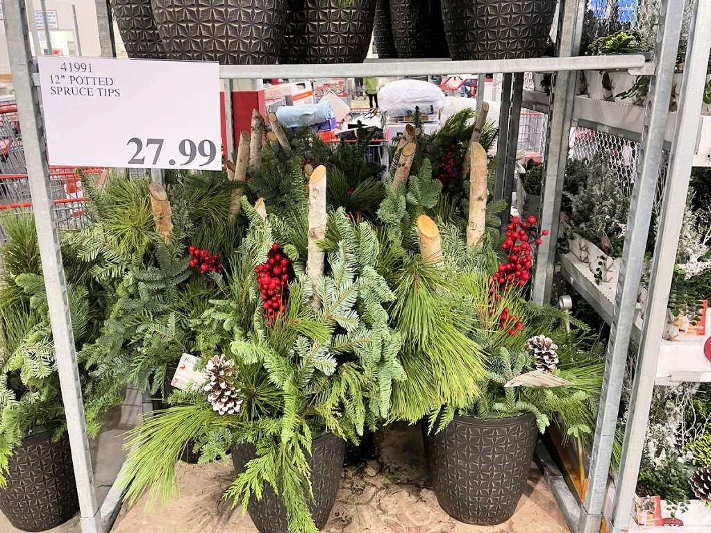 14″ Greenery Planters