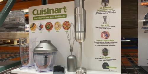 Cuisinart Immersion Hand Blender w/ Storage Bag Only $28 at Costco