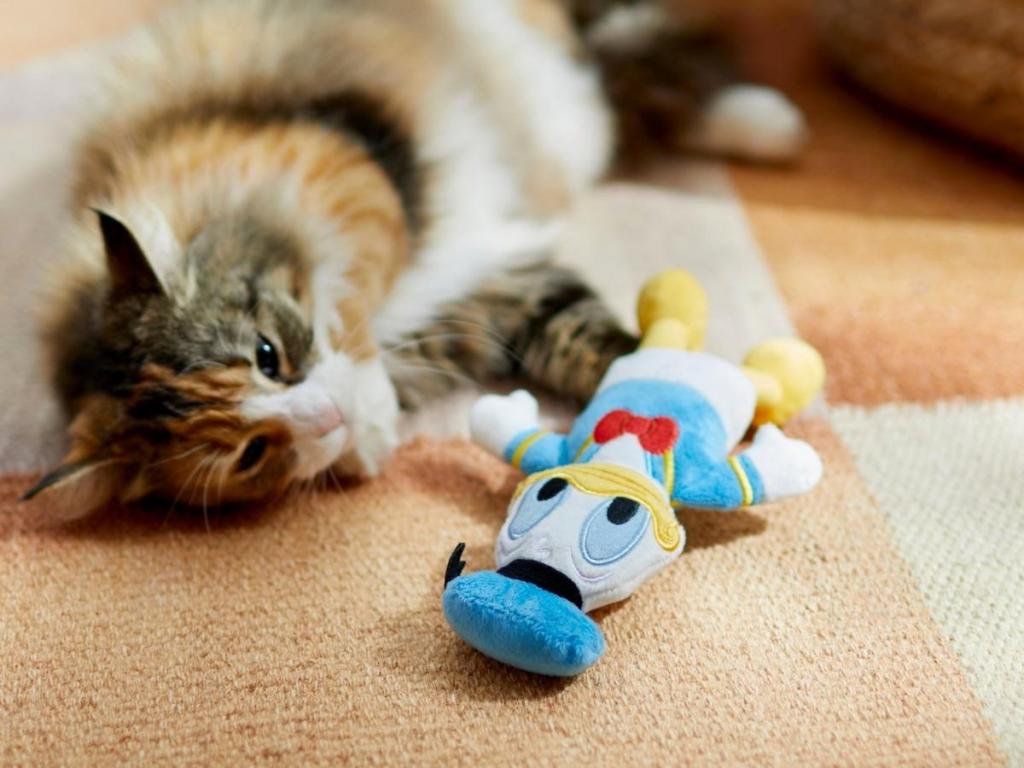 cat with donald duck cat plush toy with catnip