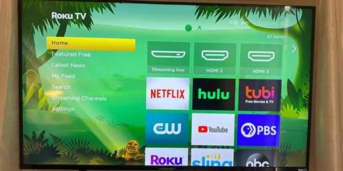 Element 65″ 4K Frameless Roku TV Only $299.99 Shipped on Target.com (Regularly $650)