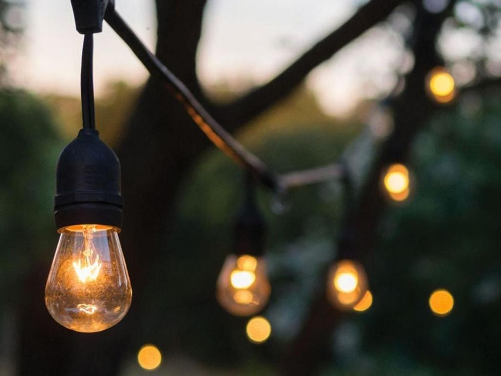 Luminar Outdoor 24' 12-Bulb Outdoor Incandescent String Lights